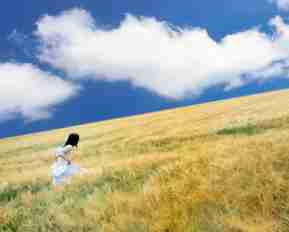 自​适‍应​布‌局​框​架﻿